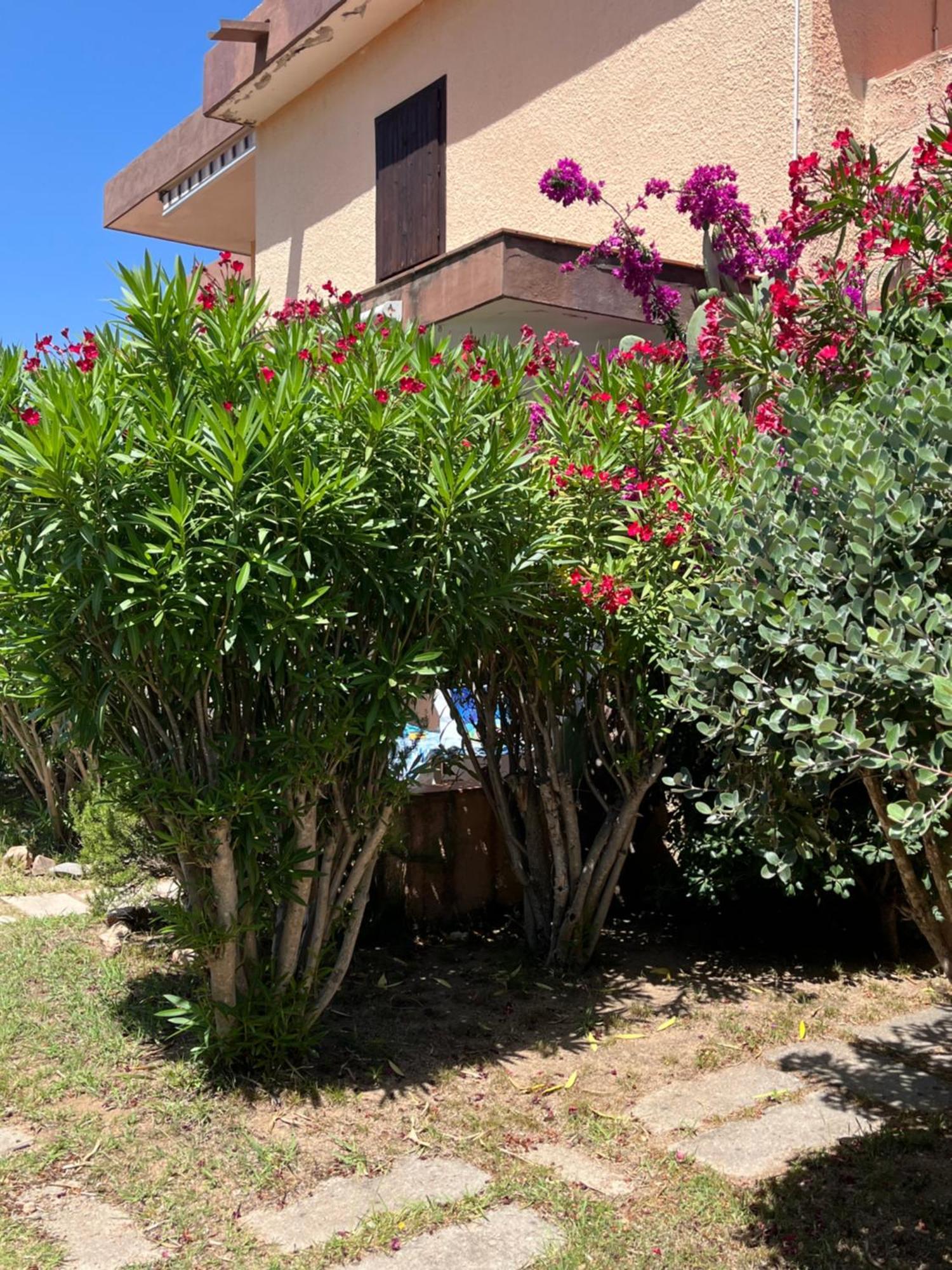 Bilocali Residenza Mediterranea Cannigione Ngoại thất bức ảnh