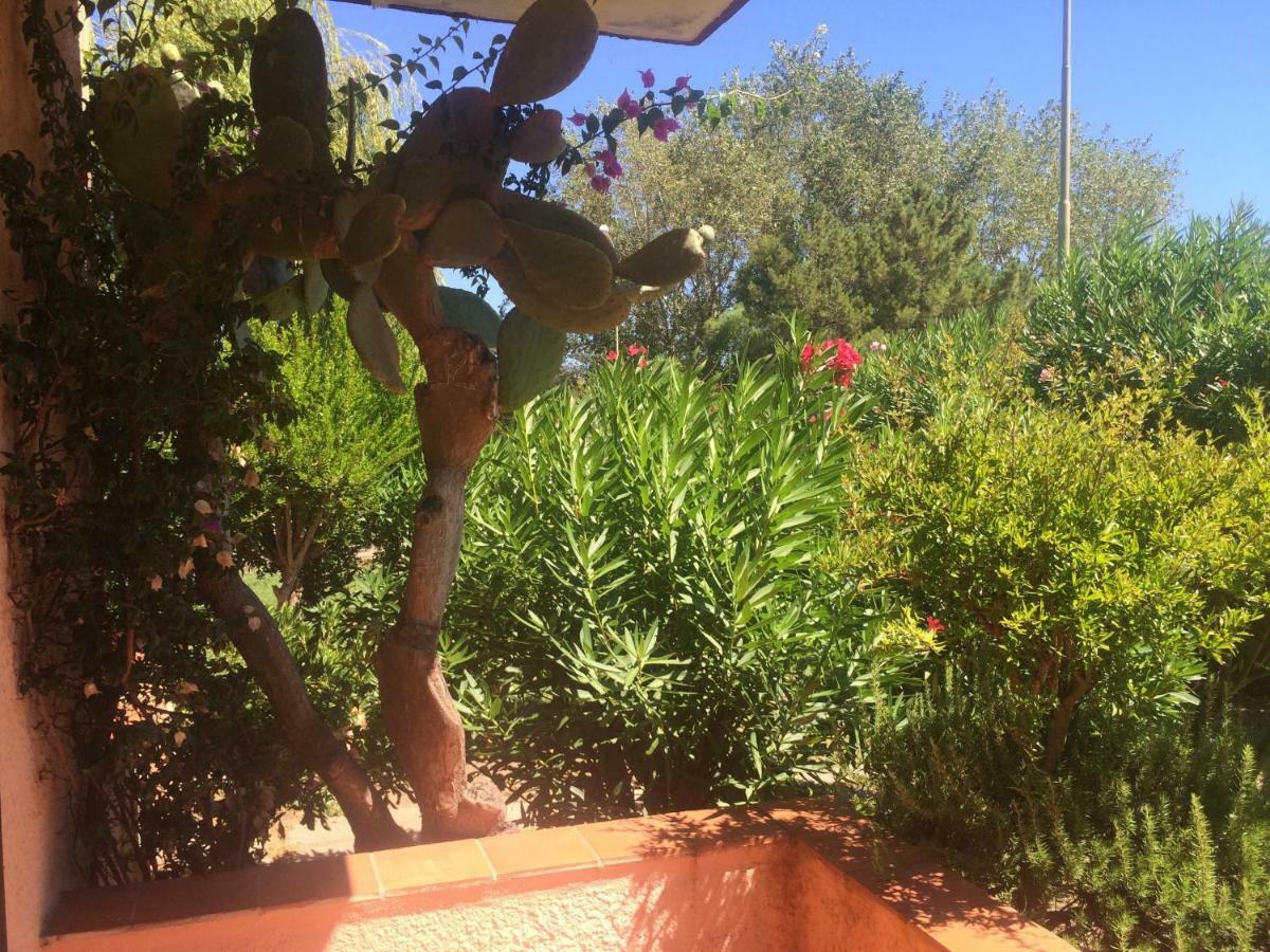 Bilocali Residenza Mediterranea Cannigione Ngoại thất bức ảnh